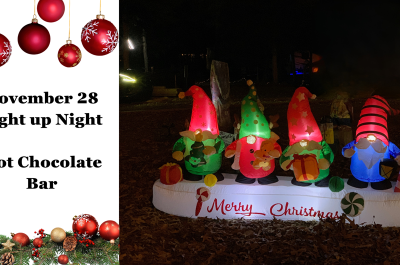 Light Up Night Photo