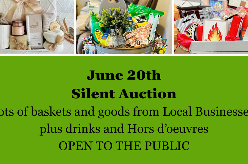 Silent Auction - A Care Camps Fundraiser Photo