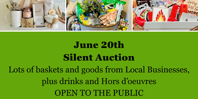 Silent Auction - A Care Camps Fundraiser