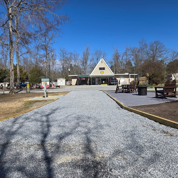 Site 31