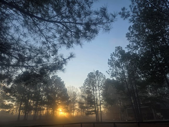 Dawn's Early Light