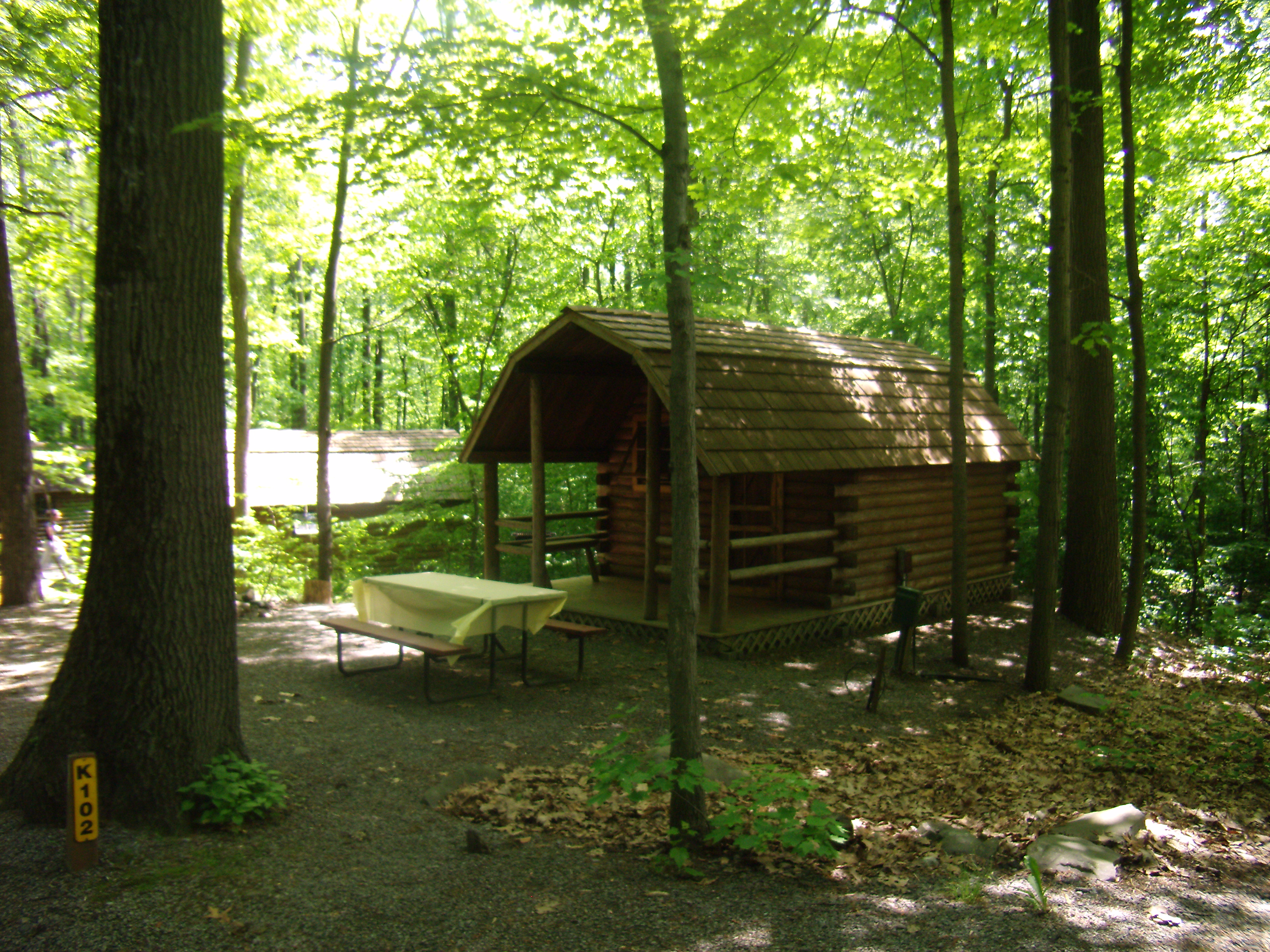 1 Room Rustic Camping Cabin