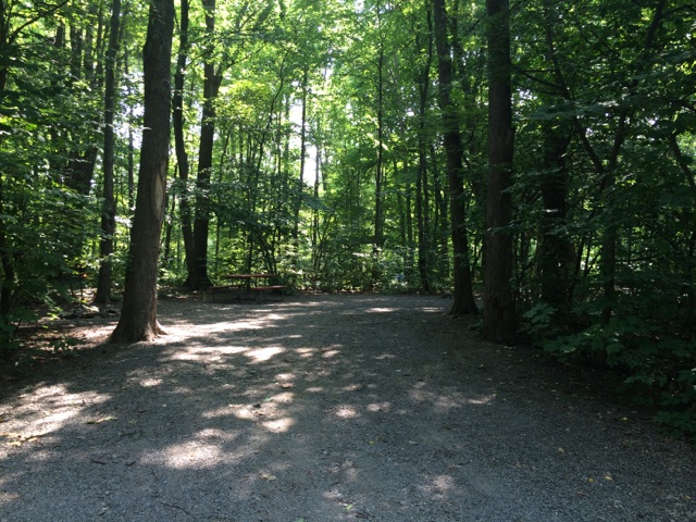 Wooded Tent Site. Level Gravel Pad.
