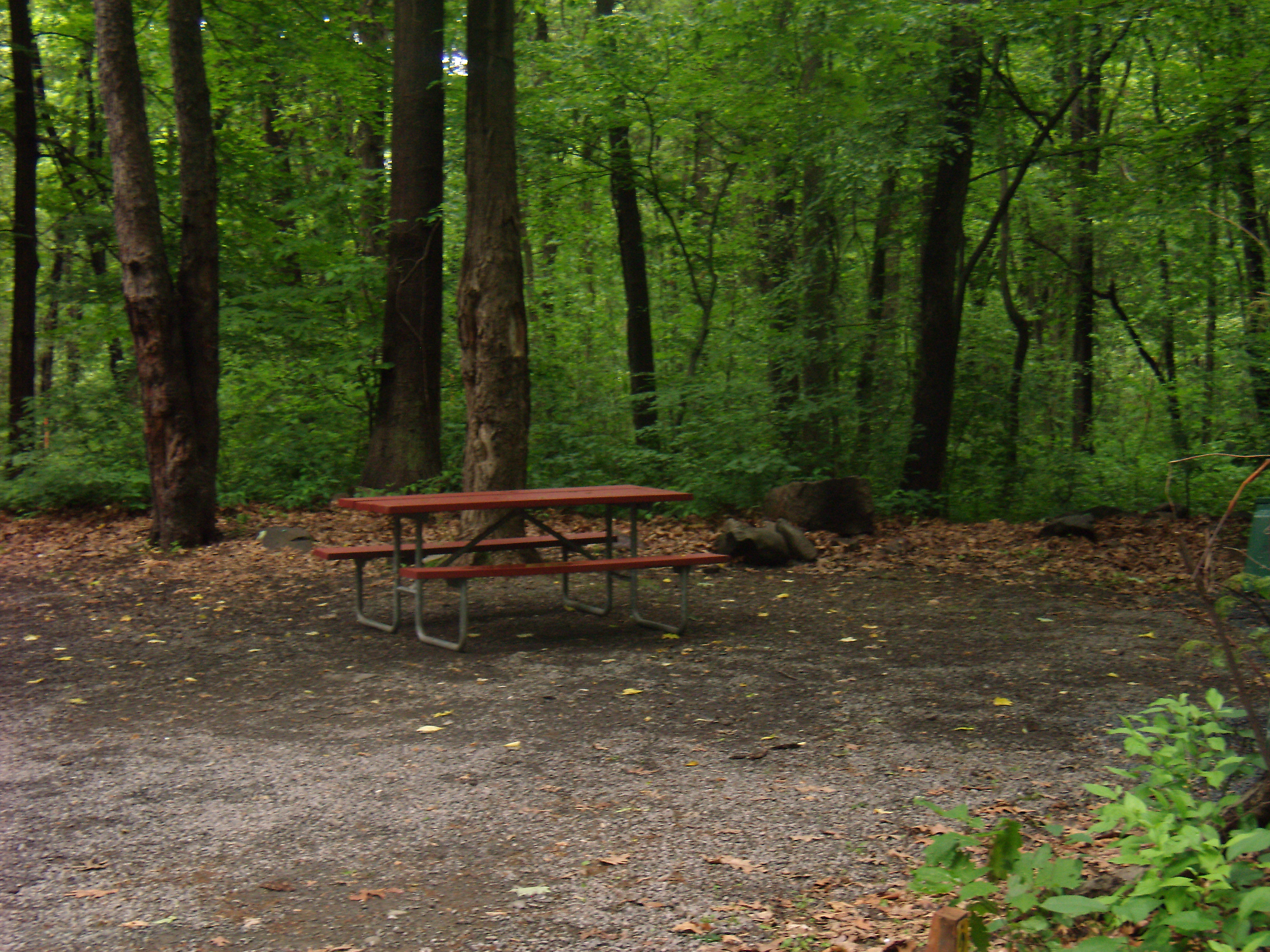Picnic Table And Fire Ring Provided!