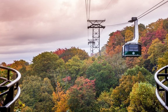 Visit Ober Gatlinburg