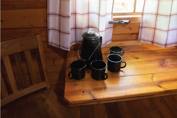 Wilderness Cabin