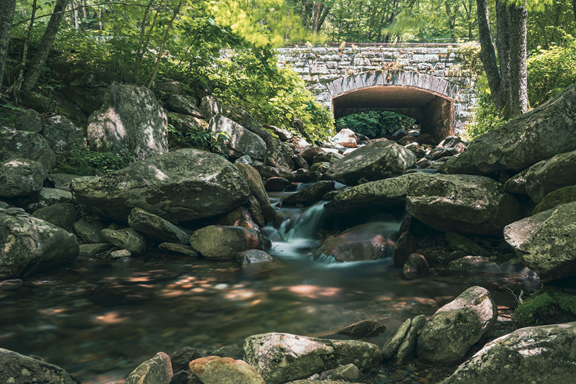 Great Smoky Mountains