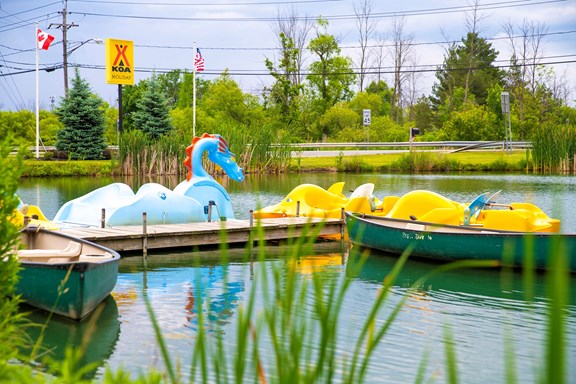 Boat Rentals