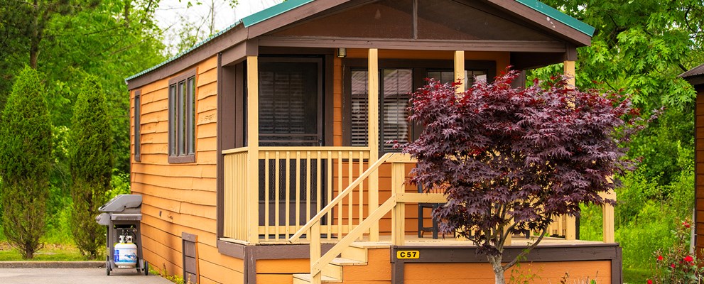 C57 - Deluxe Cabin, 1 Room (Full Bath with Tub & Shower) - Sleeps 6