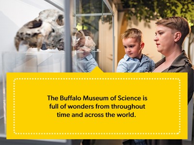 Museums