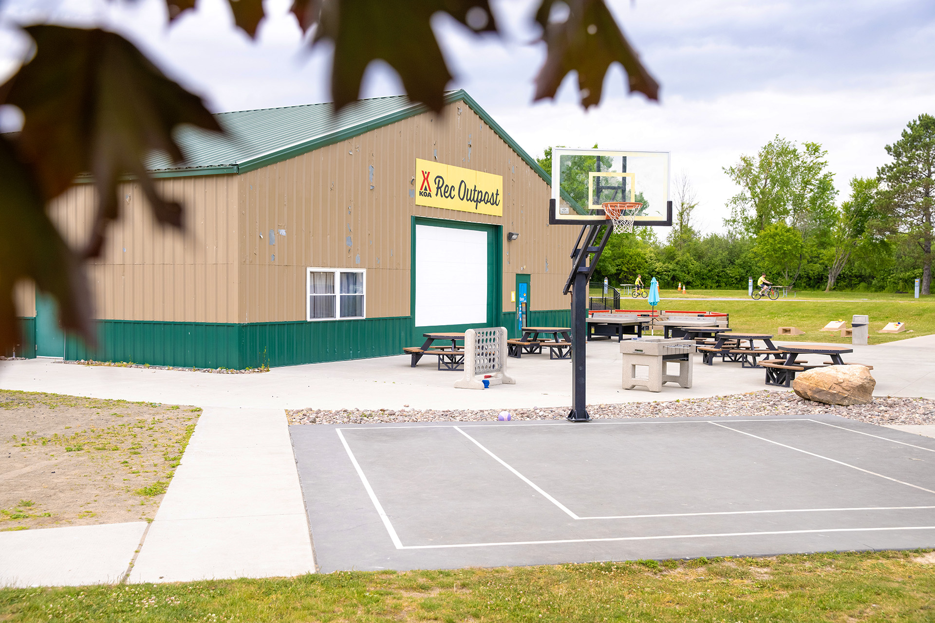 Basketball