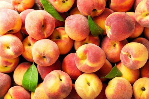 Lewiston Peach Festival 2023  Sept 7-10