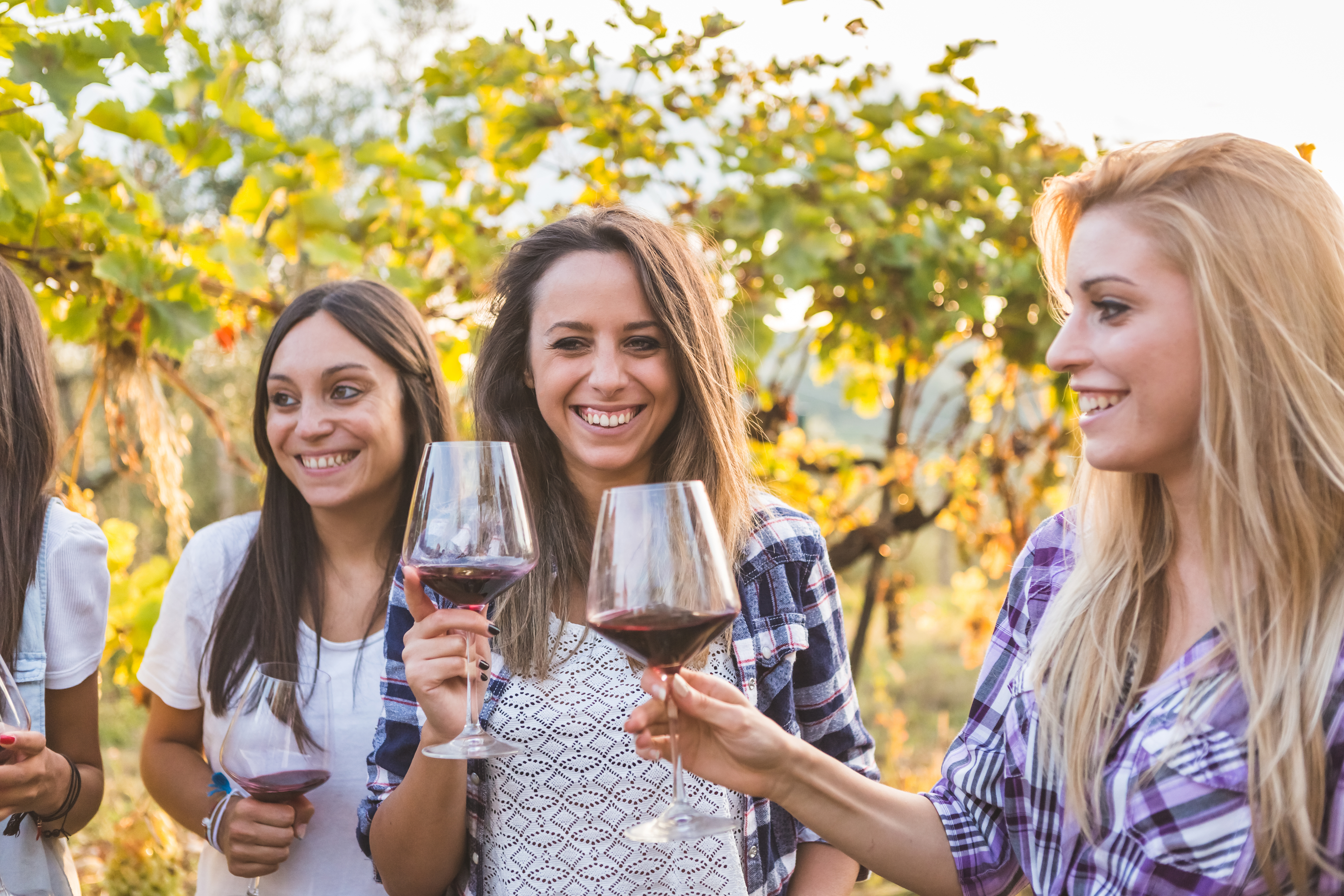 Niagara Homegrown Wine Festival - Summer Series Photo