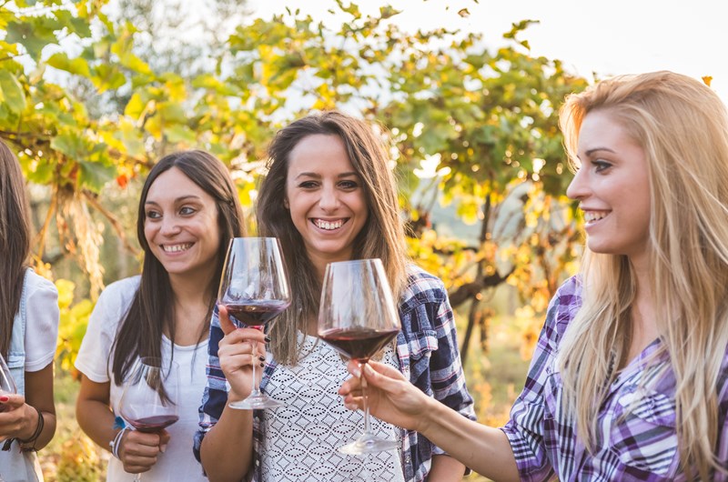 Niagara Homegrown Wine Festival - Summer Series Photo