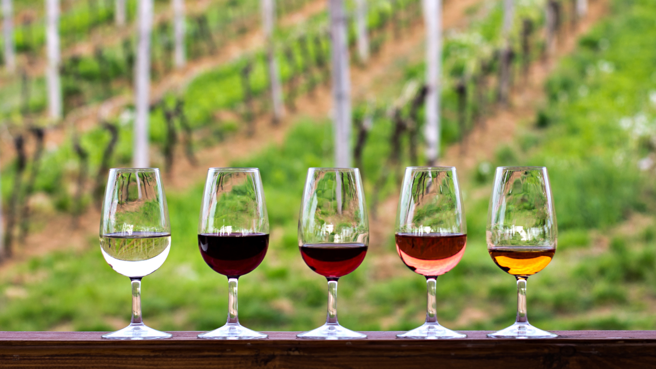 Niagara Grape & Wine Festival Photo