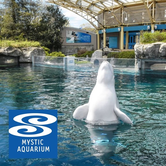 MYSTIC AQUARIUM AND INSTITUTE FOR EXPLORATION