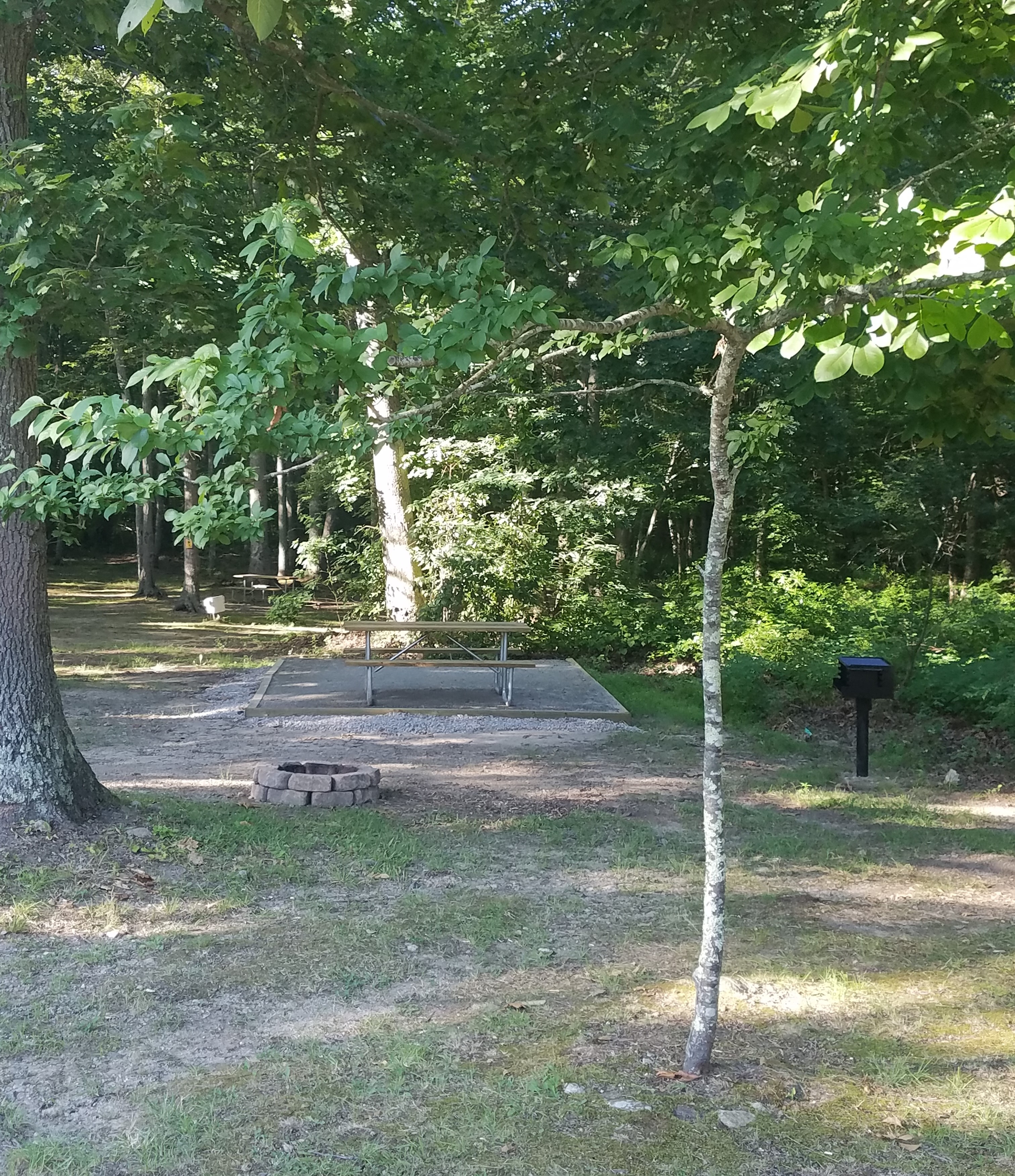 Newest Premium Tent Site