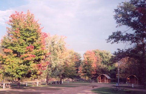 Fall colors