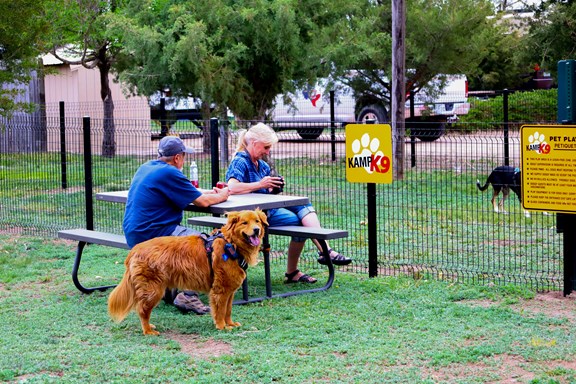 Kamp K9
