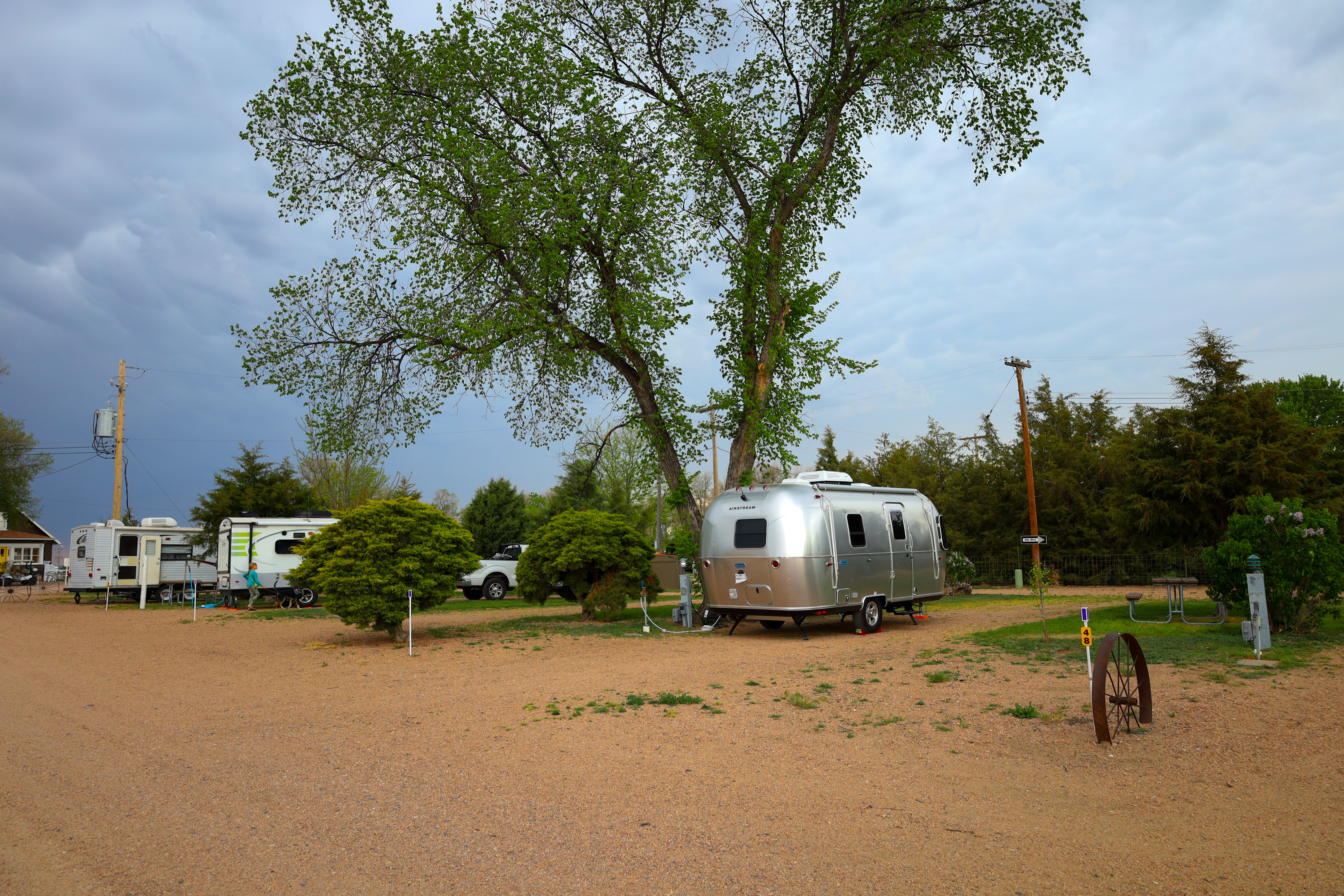 Our most favorite 30 AMP Sites lots of small tress and grass