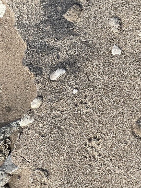 HIKING & BEACHCOMBING