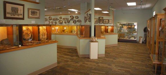 Petrified Wood Gallery