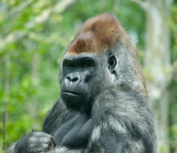 Oklahoma City Zoo