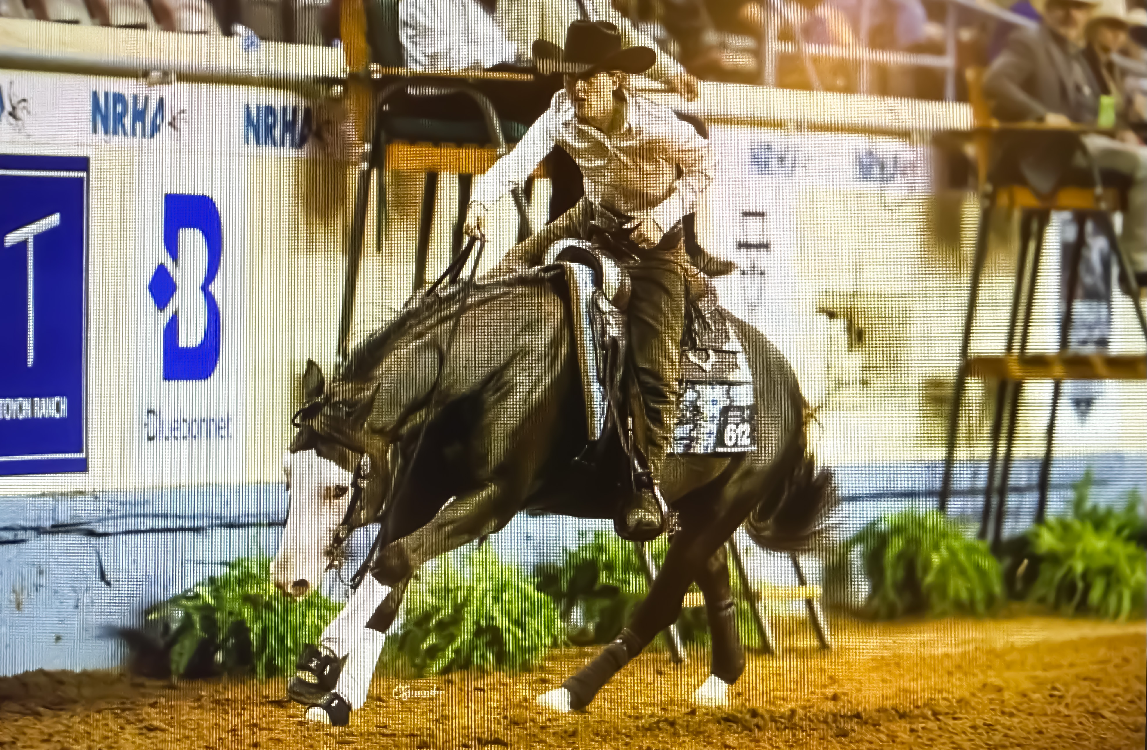 NRHA Derby Photo
