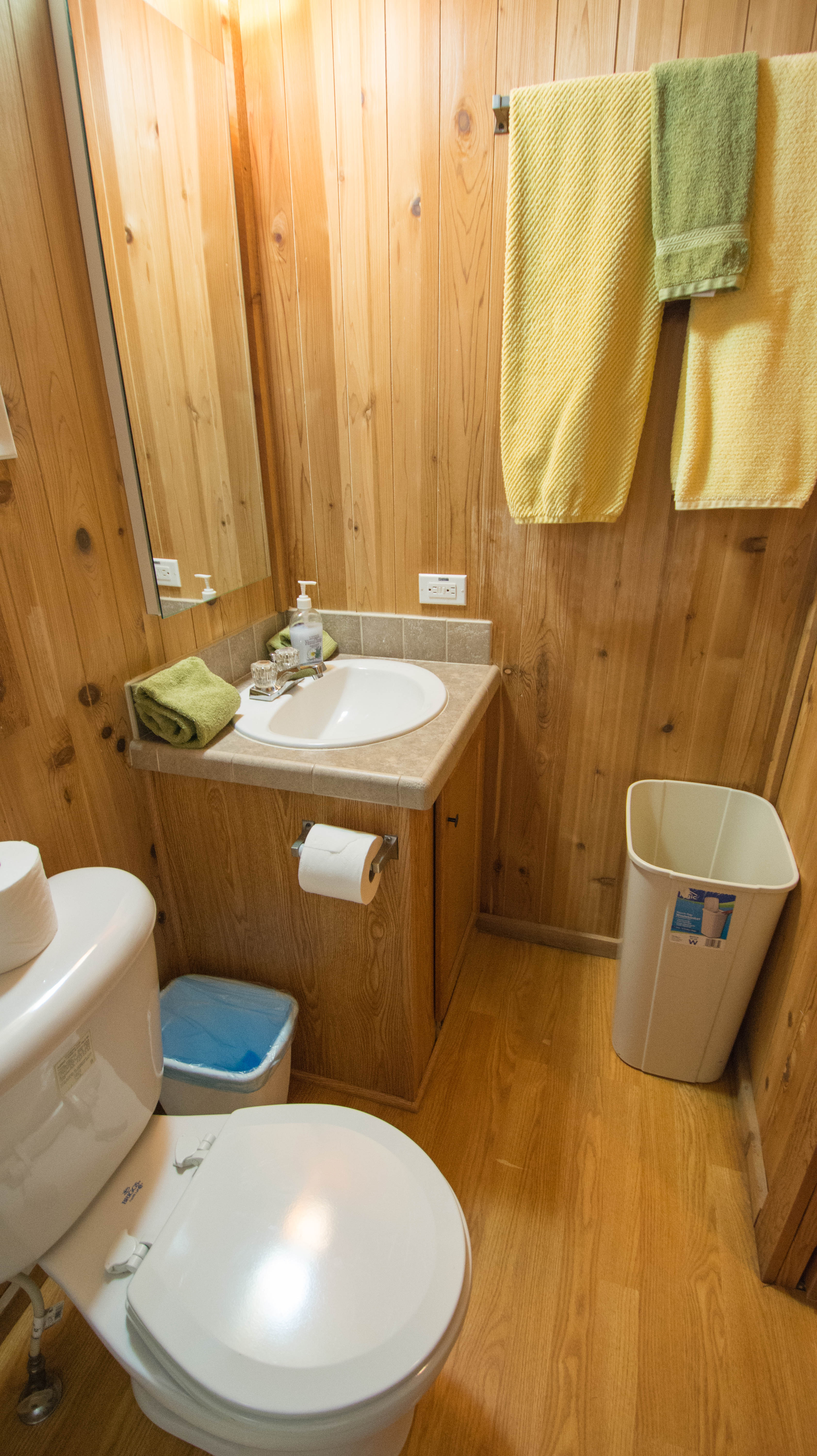Lodge Bathroom