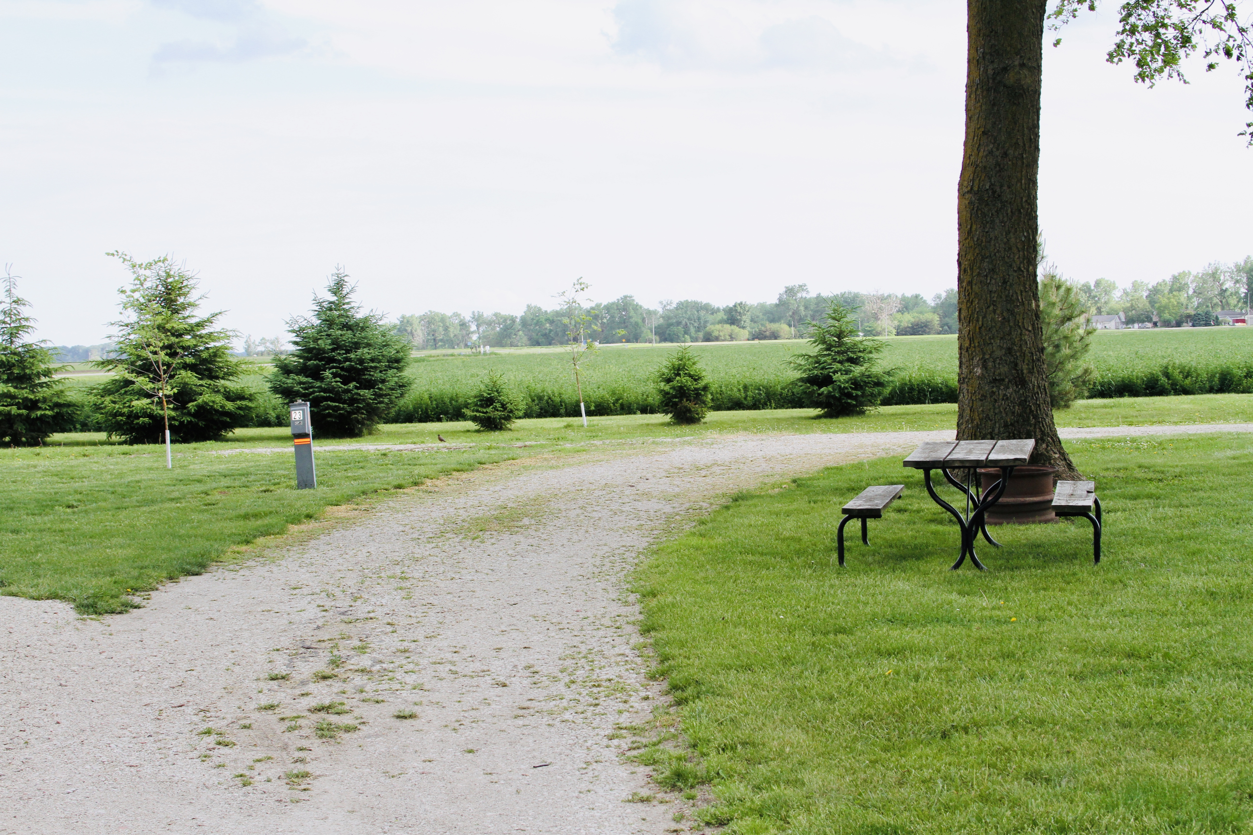 site photo