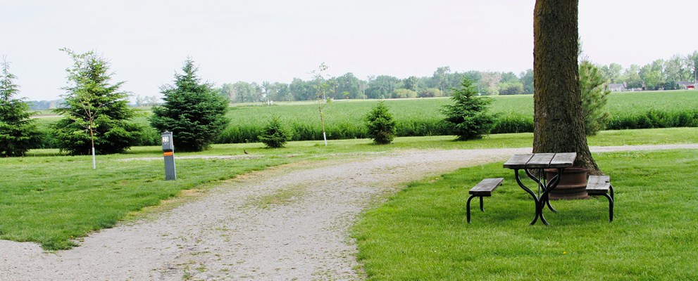 site photo