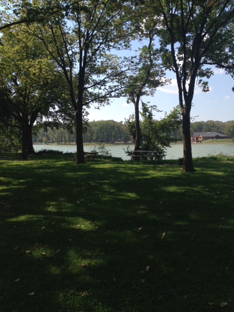 Lake view