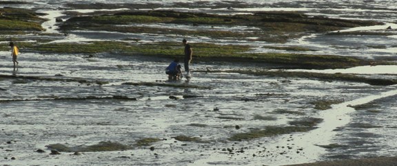 Clamming Coos Bay Oregon