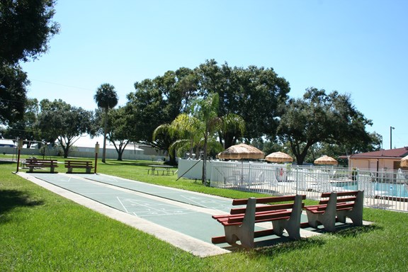 Shuffle Board  Courts