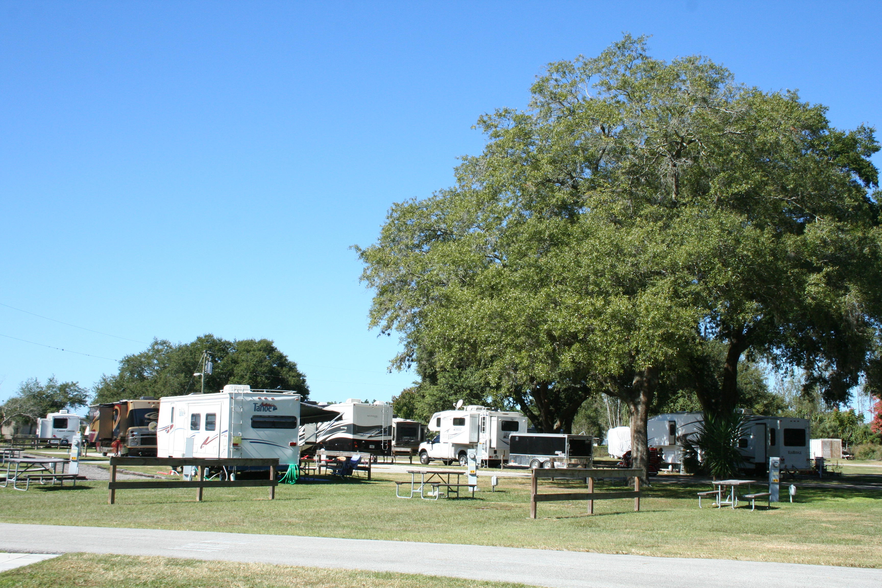 Back-in Site
