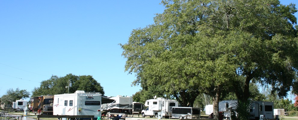 Back-in Site