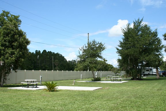 Very spacious, quiet, back-in patio sites