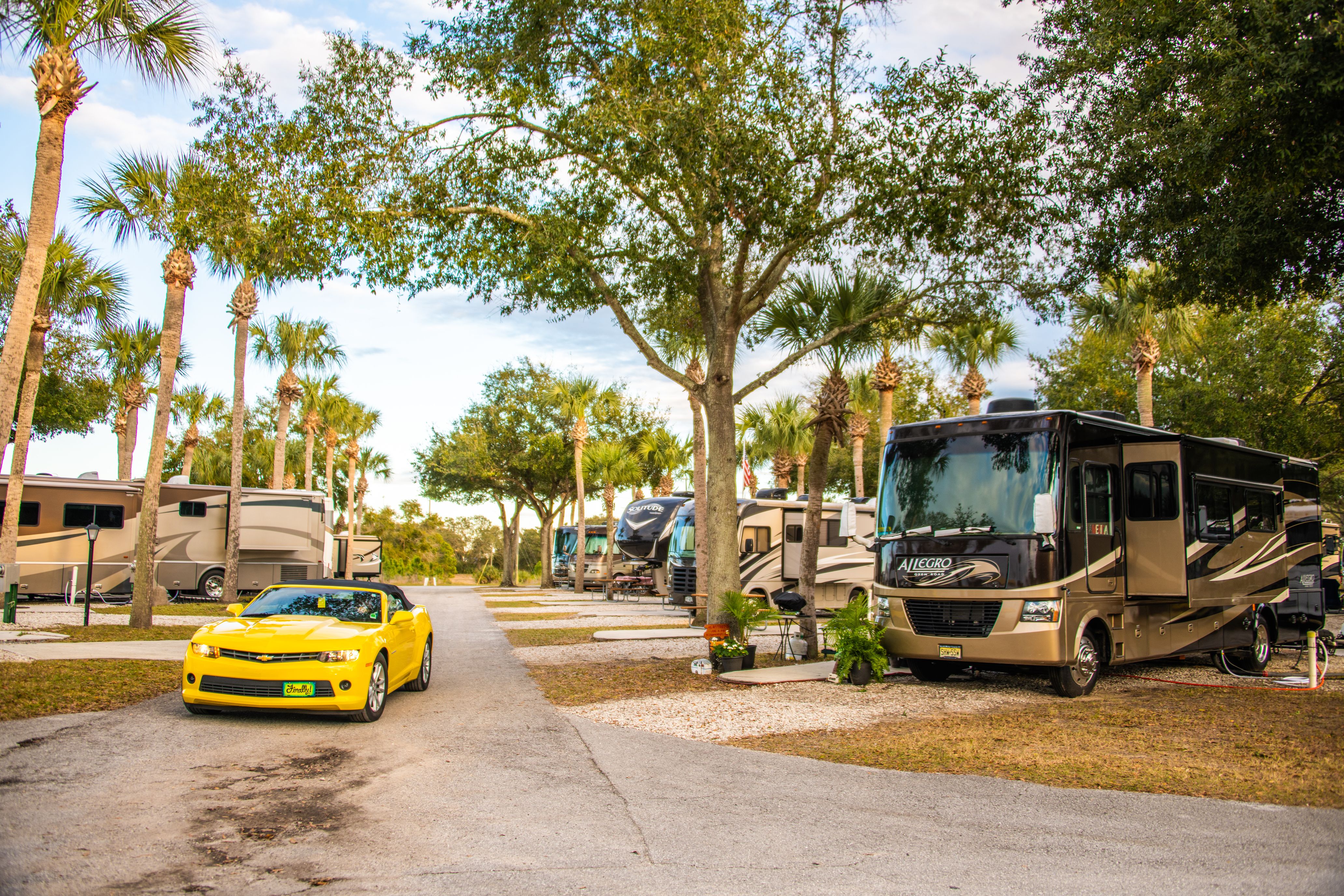 RV