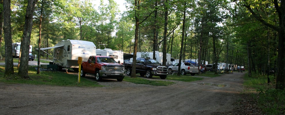 Patio Site Convenience with a Woodsy Feel