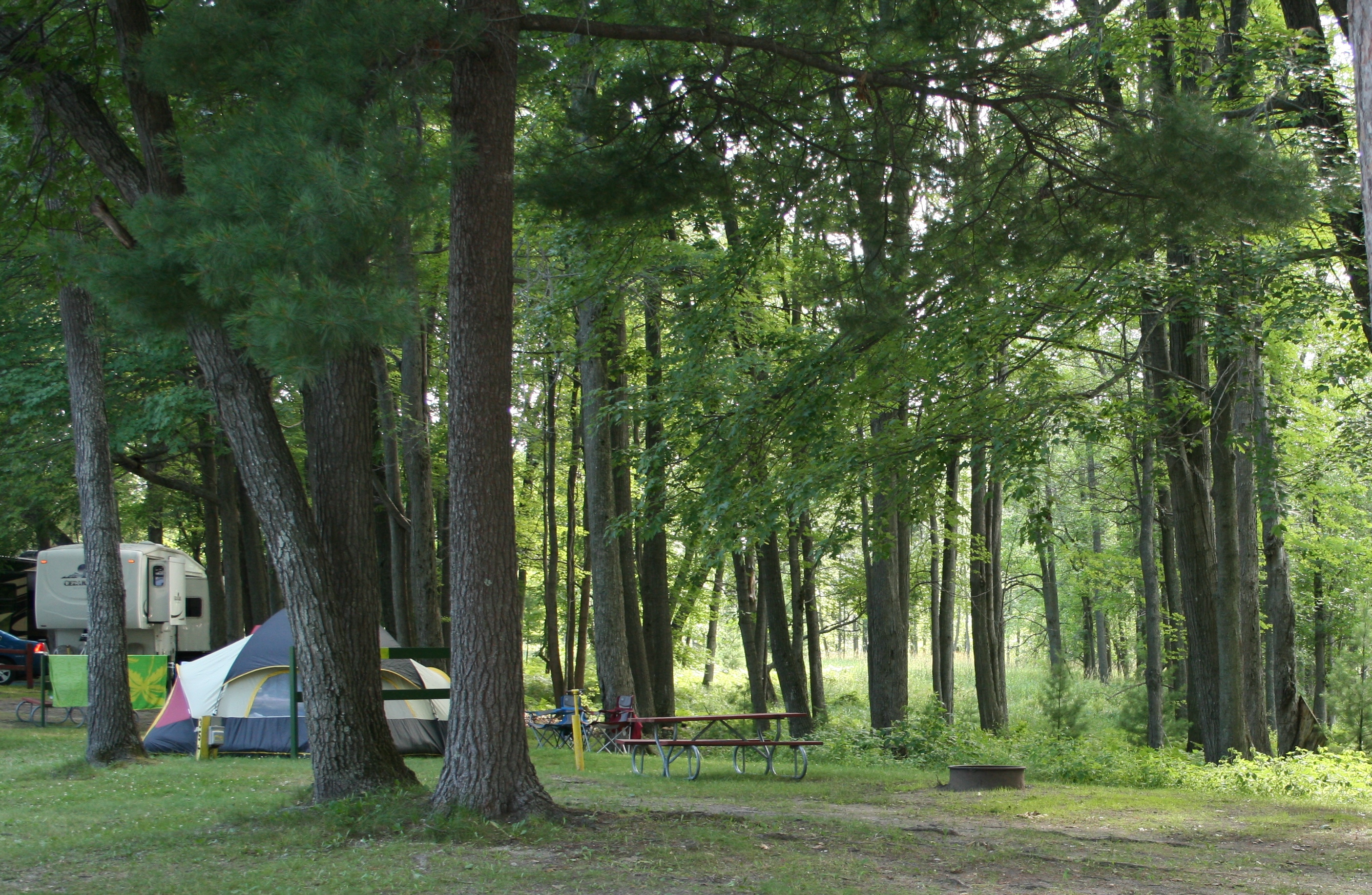 W/E Tent Site