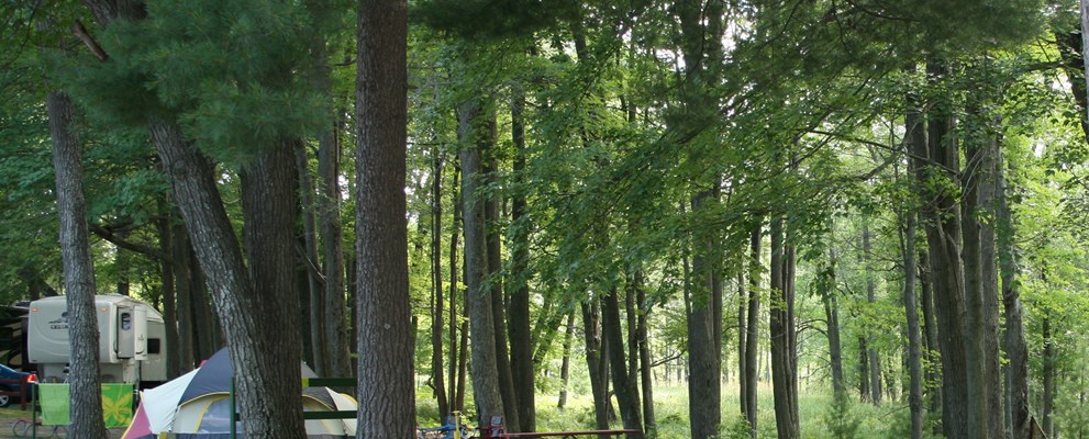 W/E Tent Site