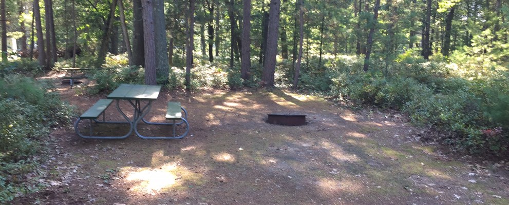 Rustic Tent Site