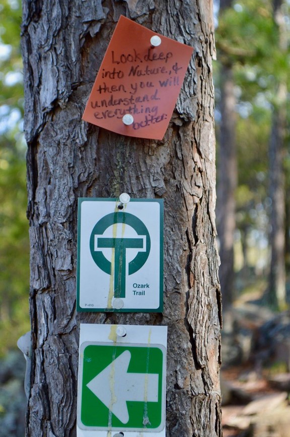 Hiking