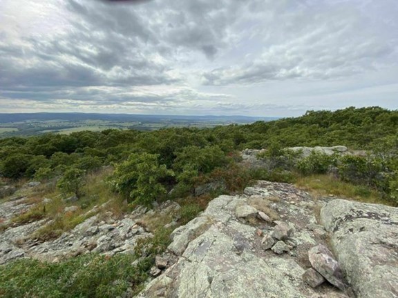 Buford Mountain Conservation Area