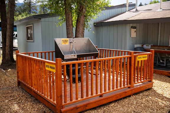Dog Washing Station