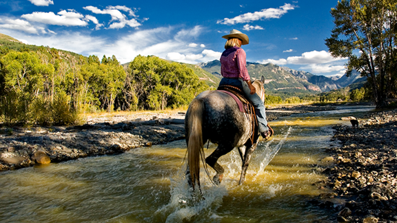 Horseback Riding Action Adventures Ouray
