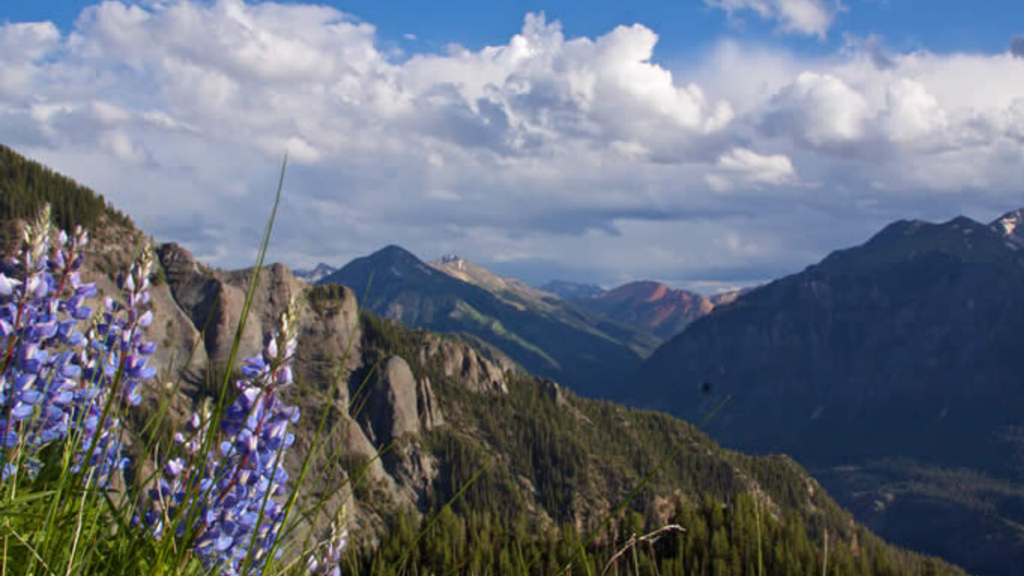 Make Ouray your basecamp for adventure!