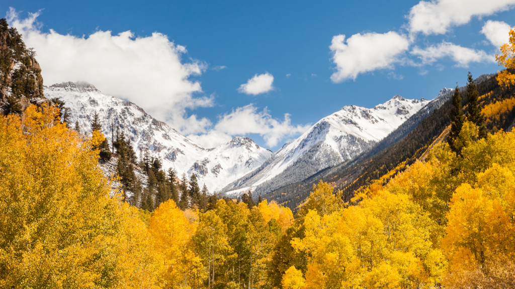 Where to See the Changing of the Aspens This Fall