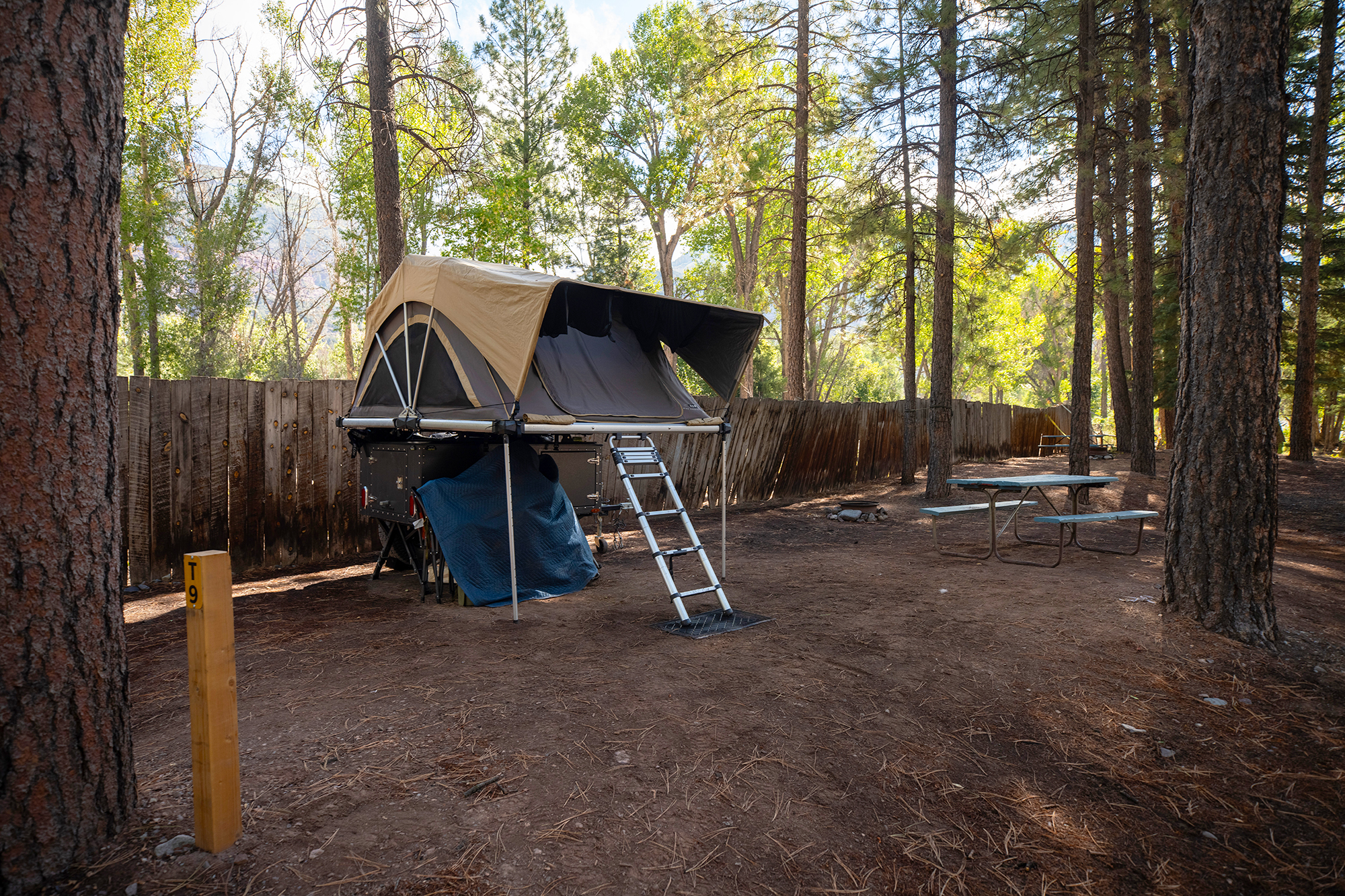 Tent T9 - Tent Site, No Hookup