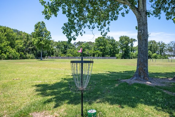 Disc Golf